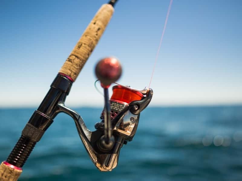 How Do Fishing Reels Work?