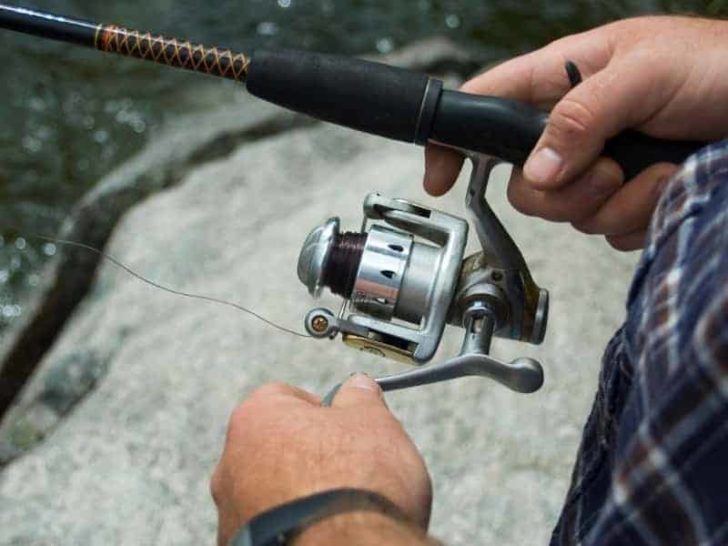 How Often Should You Oil Your Fishing Reel?