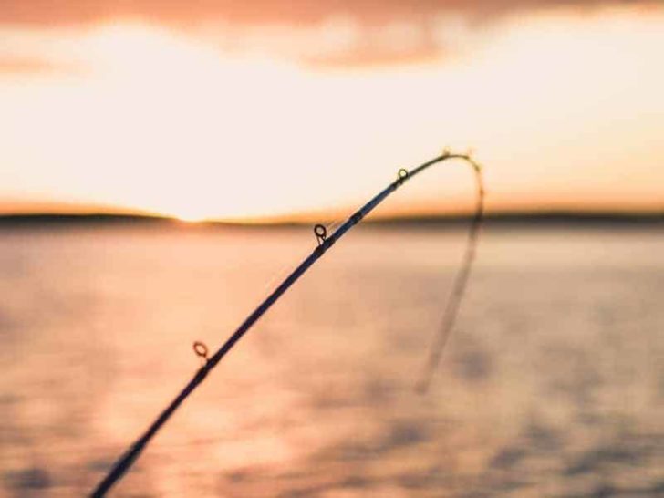 Why Do Fishing Rods Bend? (All You Need to Know!)