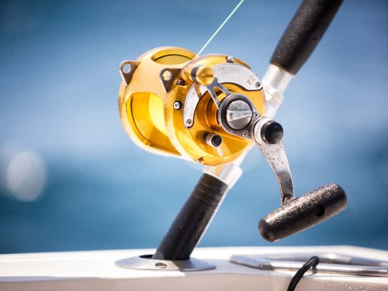Why Are Fishing Reels Left-handed?