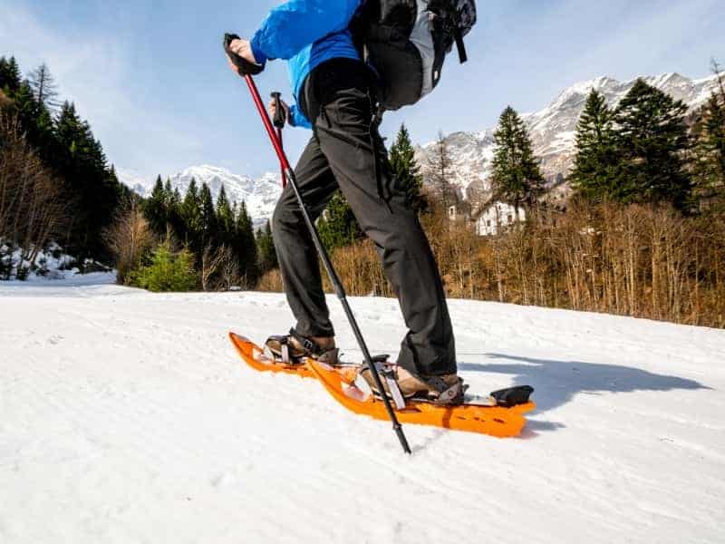 Why Are Snowshoes So Expensive? (All You Need to Know)