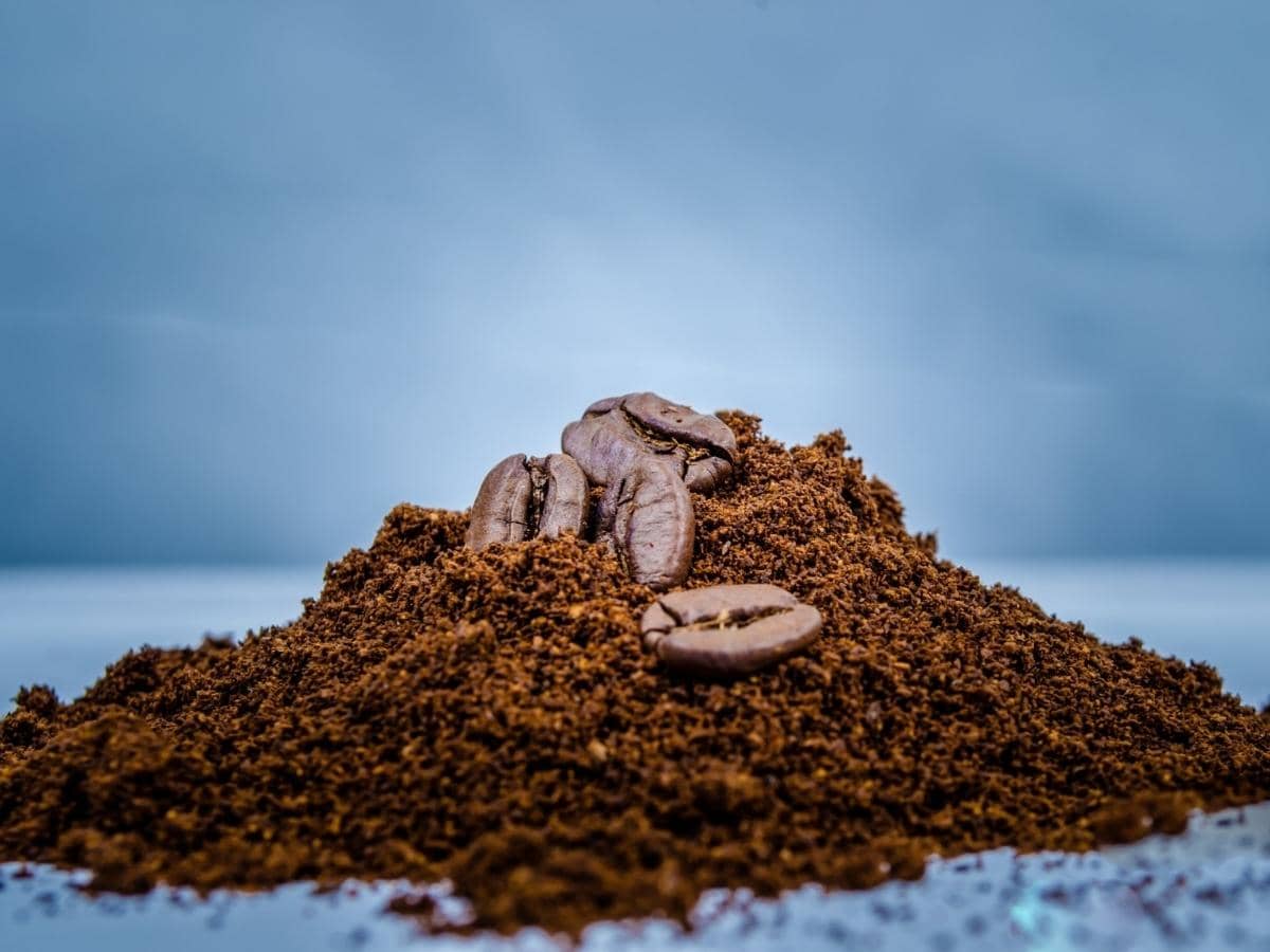 Do Coffee Grounds Keep Insects & Bugs Away? (Answered)
