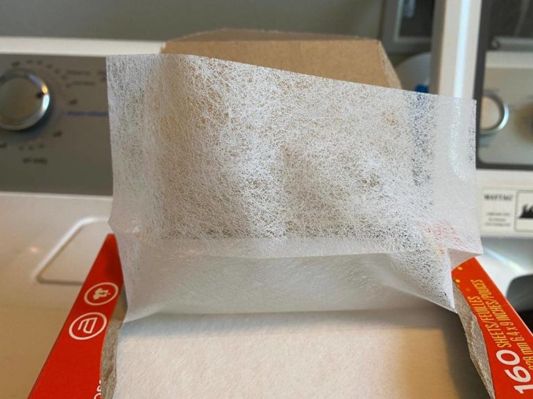 Do Fake Owls Keep Squirrels Away Answered do-fake-owls-keep-squirrels-away-answered