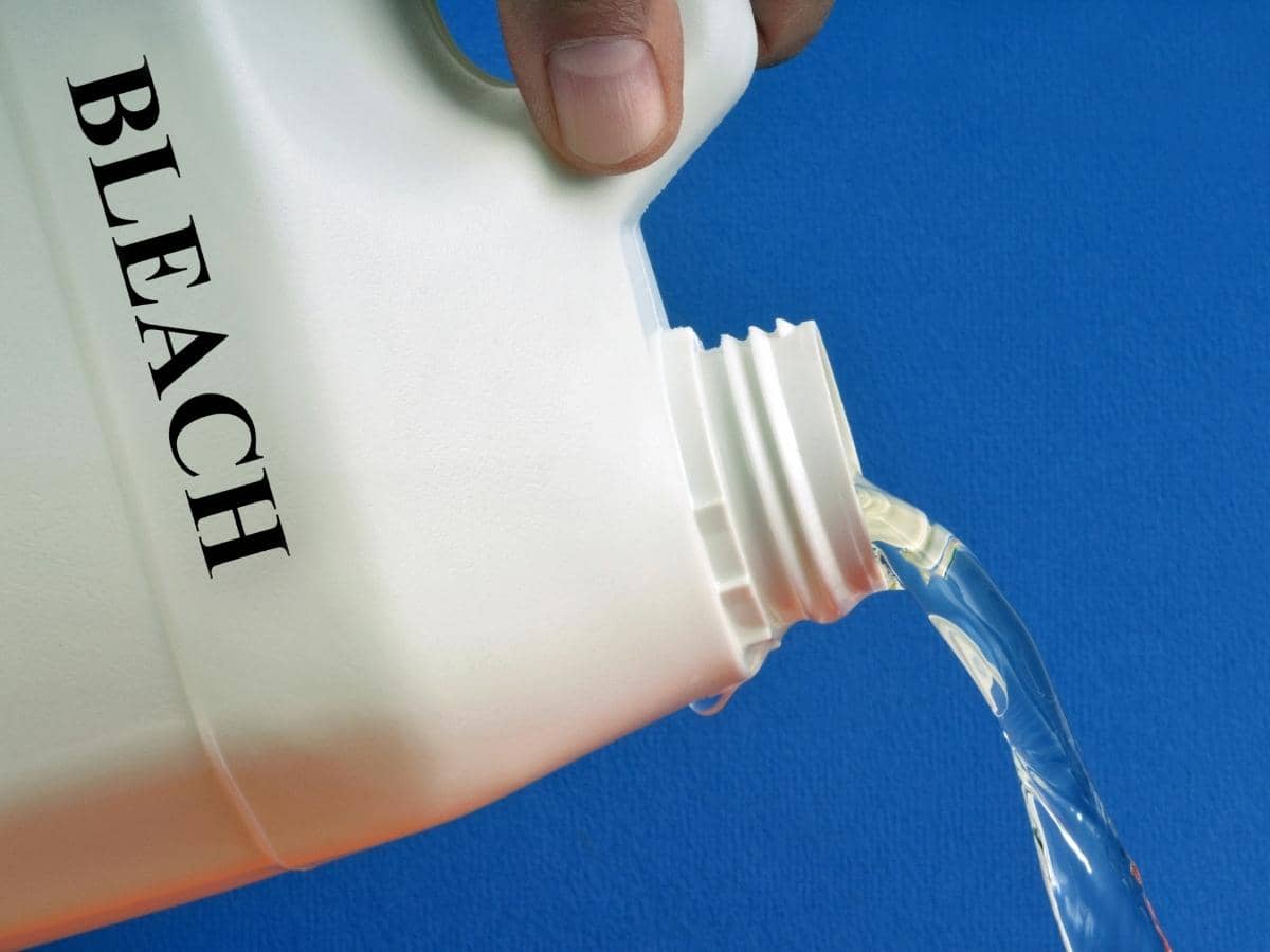 Does Bleach Keep Rats Away Read This First pin-on-for-the-home