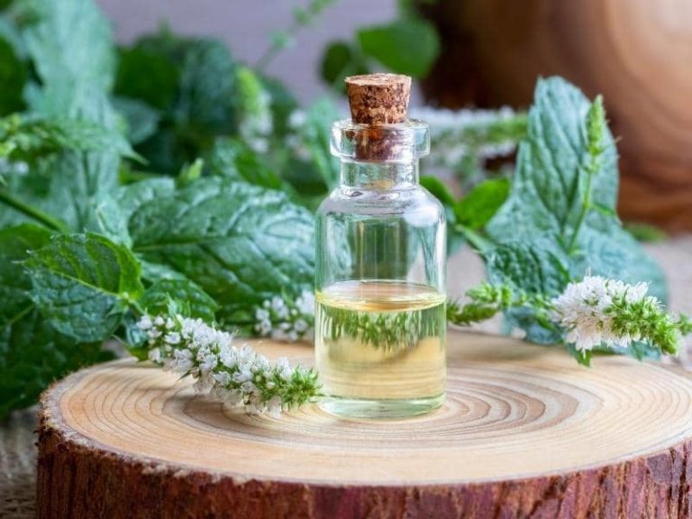 does peppermint oil repel roaches