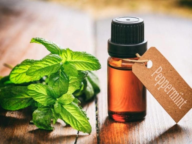 4527. Does Peppermint Oil Repel Ants 768x576 