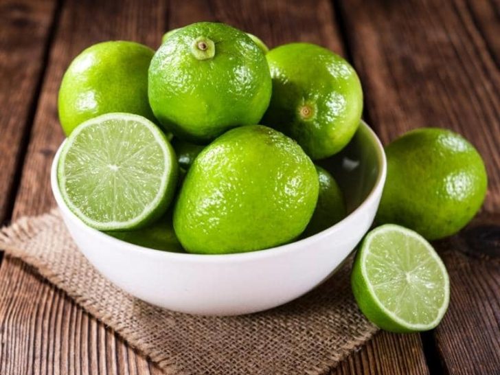 Will Lime Get Rid Of Groundhogs All You Need To Know 
